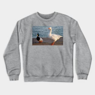 Friends Crewneck Sweatshirt